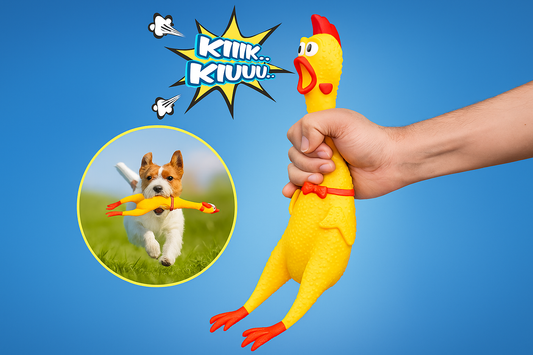Juguete Pollo Chillon Mascota